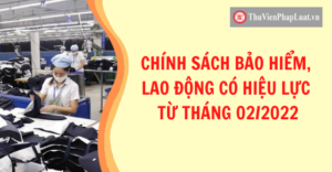 Chinh Sach Moi Bao Hiem Lao Dong Co Hieu Luc Thang 2 2022